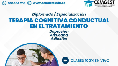 TERAPIA COGNITIVO CONDUCTUAL - GRUPO 11 UNASAM